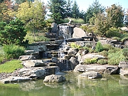 Western Michigan [2009] 276